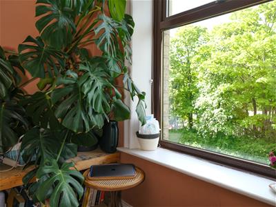 Picture 17
